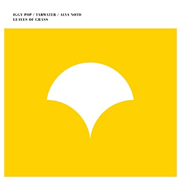 Iggy Pop, Tarwater, Alva Noto - Morr Music 2016